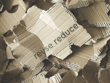 Choose Eco-Friendly Packaging: Interesting Recycling Facts and Resources